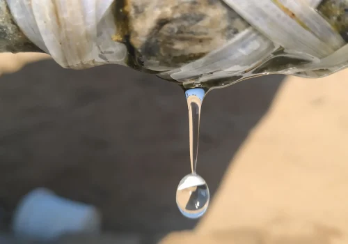 reparation fuite deau